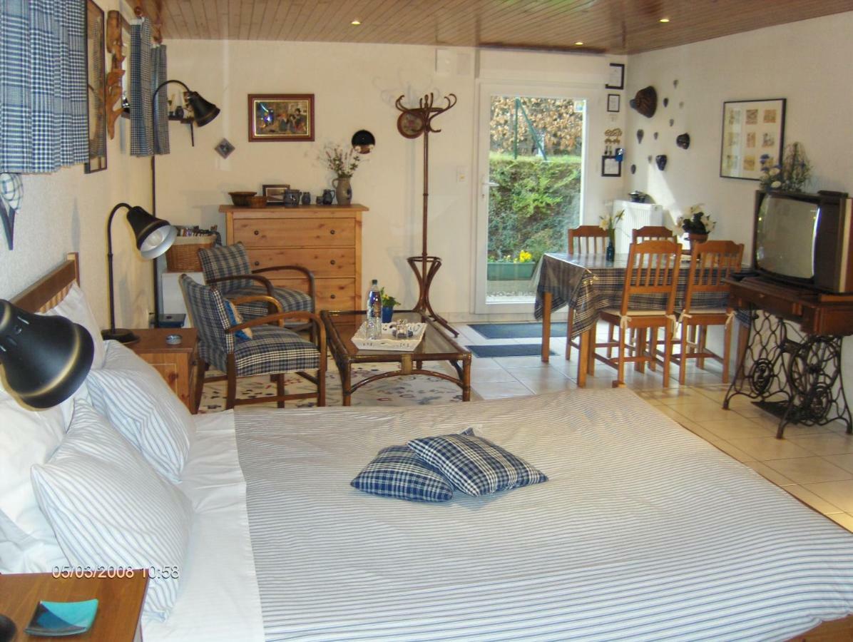 Chambre D'Hotes Au Canal Illkirch-Graffenstaden Ngoại thất bức ảnh